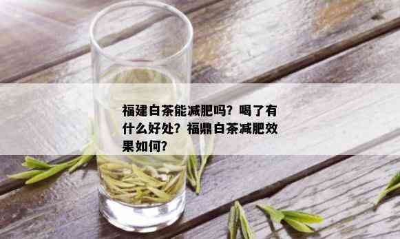 福建白茶能减肥吗？喝了有什么好处？福鼎白茶减肥效果如何？