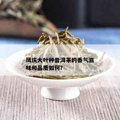 凤庆大叶种普洱茶的香气滋味和品质如何？