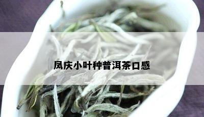 凤庆小叶种普洱茶口感