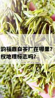 清韵福鼎白茶厂在哪里？有授权地理标志吗？