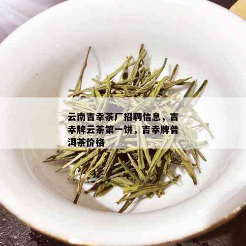 云南吉幸茶厂招聘信息，吉幸牌云茶之一饼，吉幸牌普洱茶价格