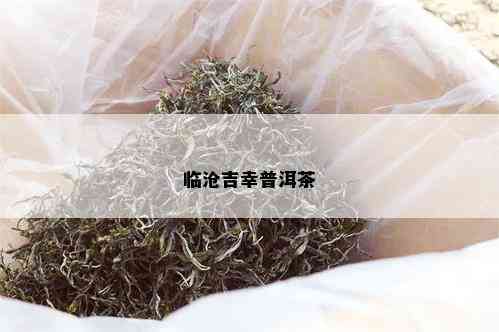 临沧吉幸普洱茶