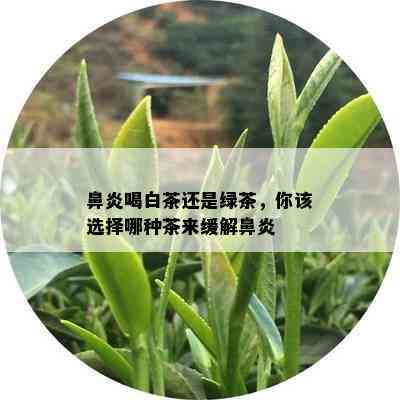 鼻炎喝白茶还是绿茶，你该选择哪种茶来缓解鼻炎