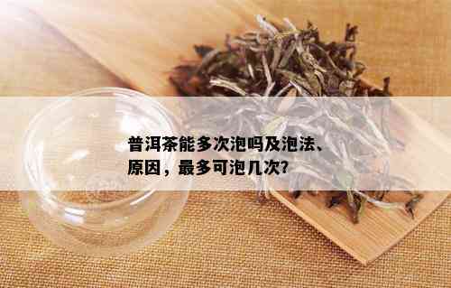 普洱茶能多次泡吗及泡法、原因，最多可泡几次？