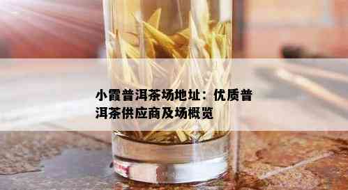 小霞普洱茶场地址：优质普洱茶供应商及场概览