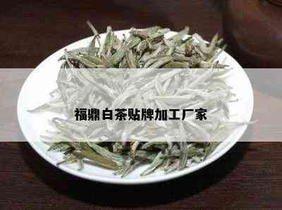 福鼎白茶贴牌加工厂家