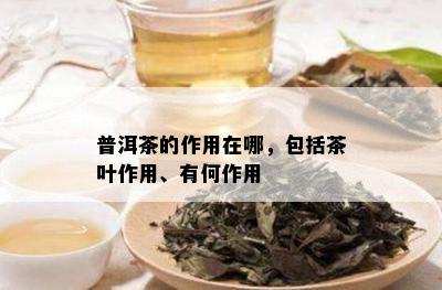 普洱茶的作用在哪，包括茶叶作用、有何作用