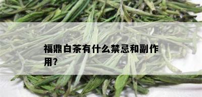 福鼎白茶有什么禁忌和副作用？