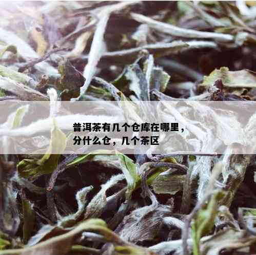 普洱茶有几个仓库在哪里，分什么仓，几个茶区