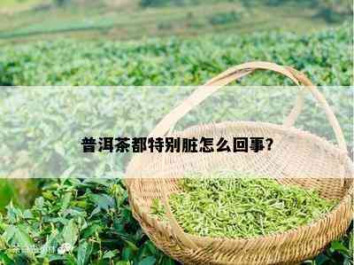 普洱茶都特别脏怎么回事？