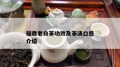 福鼎老白茶功效及茶汤口感介绍