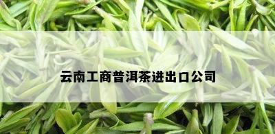 云南工商普洱茶进出口公司