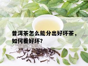 普洱茶怎么能分出好坏茶，如何看好坏？