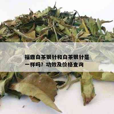 福鼎白茶银针和白茶银针是一样吗？功效及价格查询