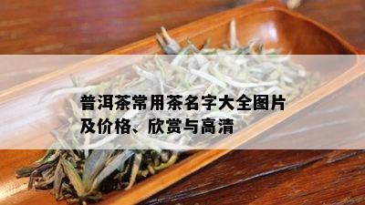 普洱茶常用茶名字大全图片及价格、欣赏与高清