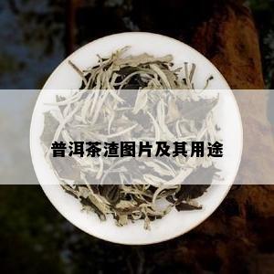 普洱茶渣图片及其用途