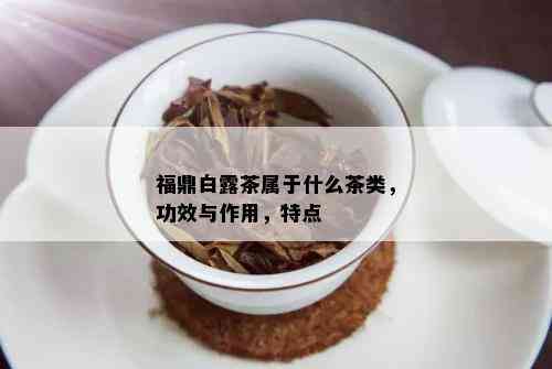 福鼎白露茶属于什么茶类，功效与作用，特点