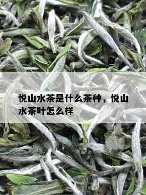 悦山水茶是什么茶种，悦山水茶叶怎么样