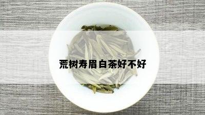 荒树寿眉白茶好不好