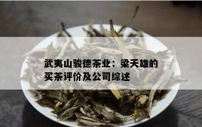 武夷山骏德茶业：梁天雄的买茶评价及公司综述