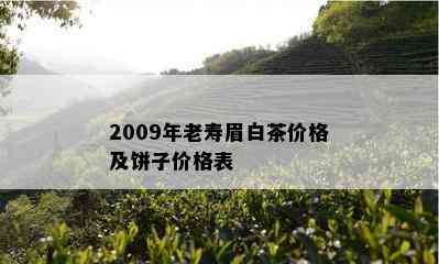 2009年老寿眉白茶价格及饼子价格表