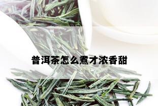 普洱茶怎么煮才浓香甜