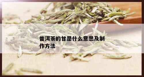 普洱茶的甘是什么意思及制作方法