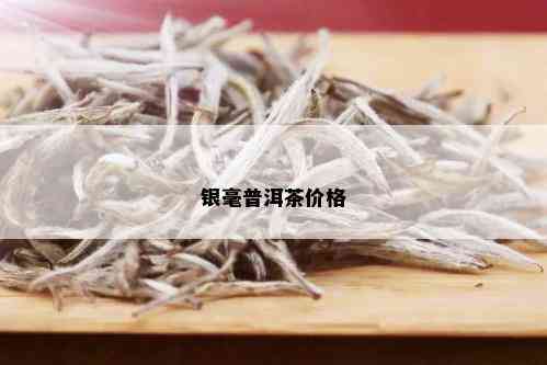 银毫普洱茶价格