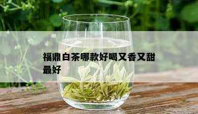 福鼎白茶哪款好喝又香又甜更好