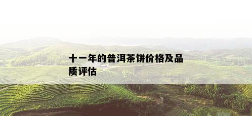 十一年的普洱茶饼价格及品质评估