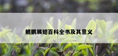 鲲鹏展翅百科全书及其意义