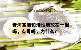 普洱茶能和活性炭放在一起吗，有吗，为什么？