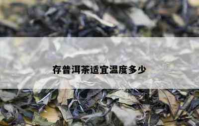 存普洱茶适宜温度多少