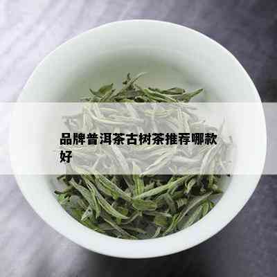 品牌普洱茶古树茶推荐哪款好