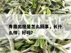 寿眉出现是怎么回事，长什么样，好吗？