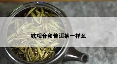 铁观音和普洱茶一样么