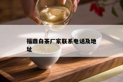 福鼎白茶厂家联系电话及地址