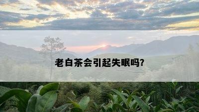 老白茶会引起失眠吗？