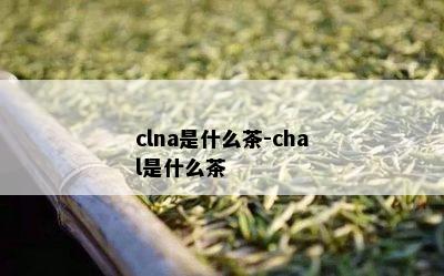 clna是什么茶-chal是什么茶