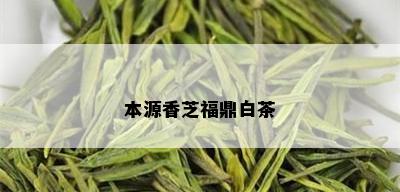 本源香芝福鼎白茶