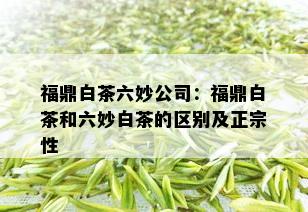 福鼎白茶六妙公司：福鼎白茶和六妙白茶的区别及正宗性