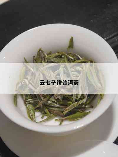 云七子饼普洱茶