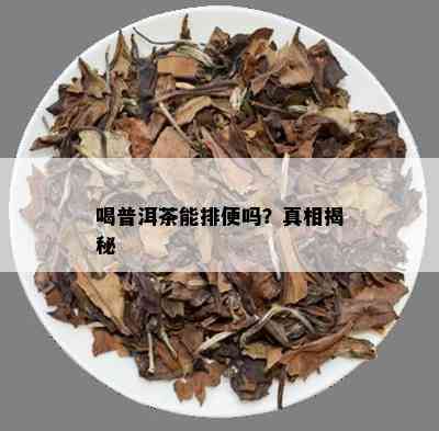 喝普洱茶能排便吗？真相揭秘