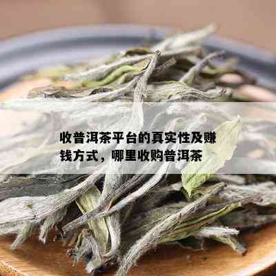 收普洱茶平台的真实性及赚钱方式，哪里收购普洱茶