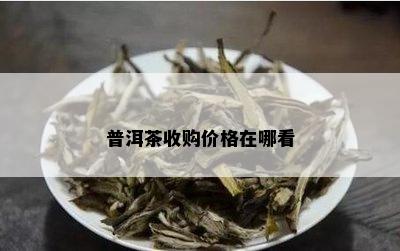 普洱茶收购价格在哪看