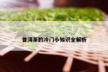 普洱茶的冷门小知识全解析