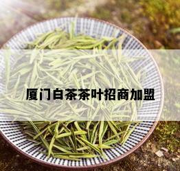 厦门白茶茶叶招商加盟