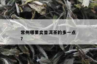 常州哪里卖普洱茶的多一点？