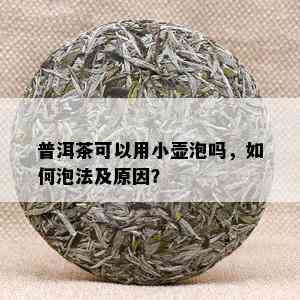 普洱茶可以用小壶泡吗，如何泡法及原因？