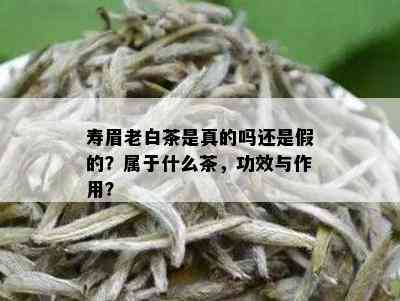 寿眉老白茶是真的吗还是假的？属于什么茶，功效与作用？